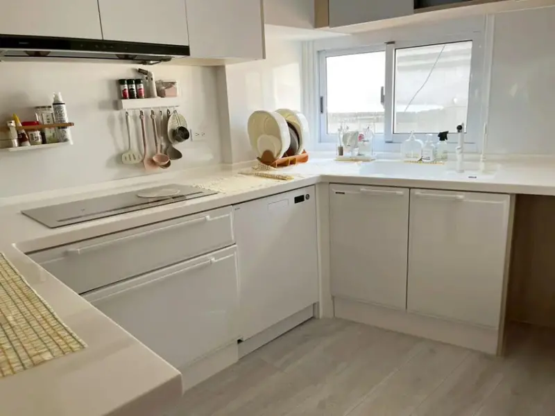 台南廚具推薦│開箱日本寶廚Takara廚具│日系Takara