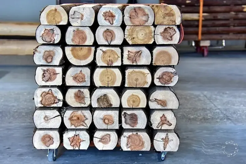 南港瓶蓋工廠台北製造所:杉木