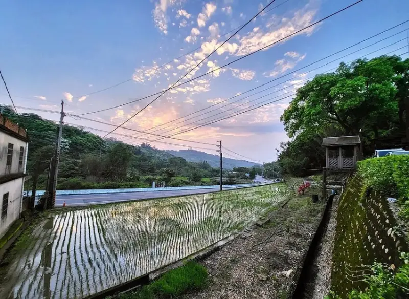 桃園楊梅【保甲古道】