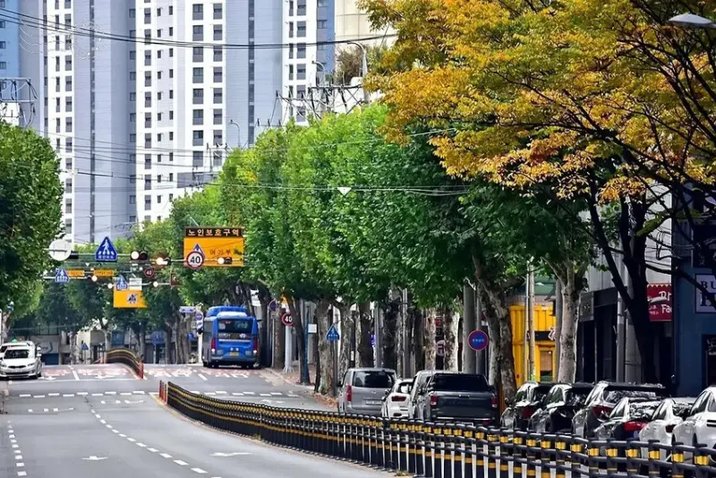 大邱市街景