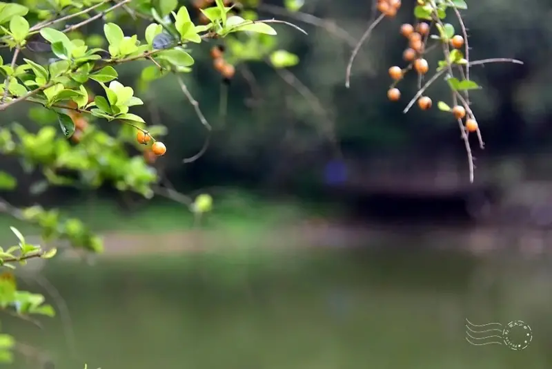 新竹寶山:新城村