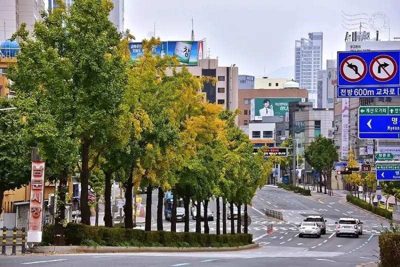 大邱市街景