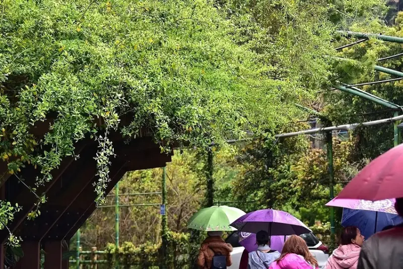 新竹寶山:新城村