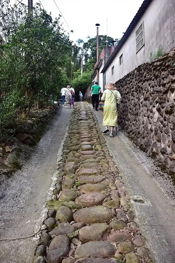 桃園楊梅【保甲古道】