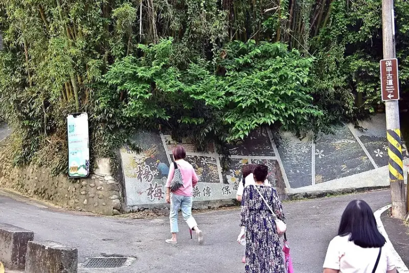 桃園楊梅老莊路378巷