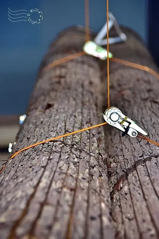 南港瓶蓋工廠台北製造所:杉木