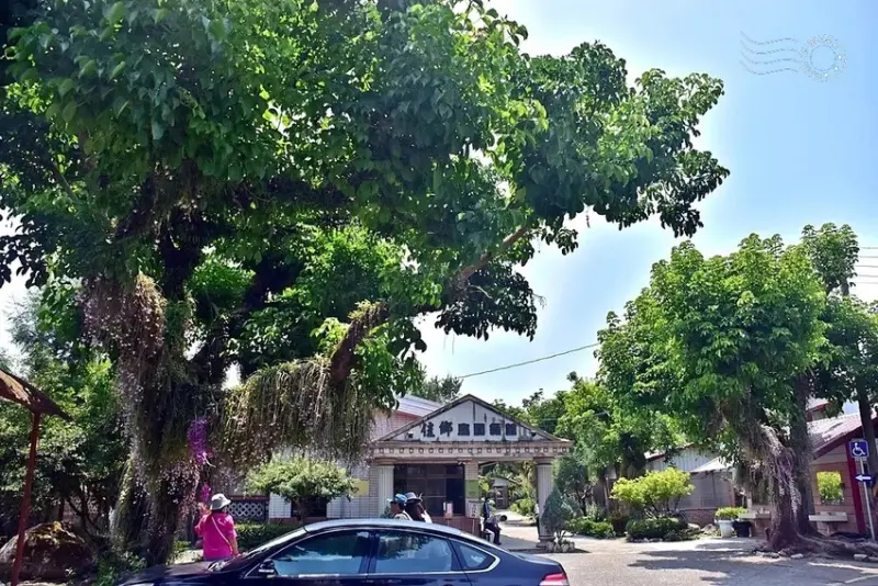 嘉義【佳鄉庭園餐館】天宮石斛蘭