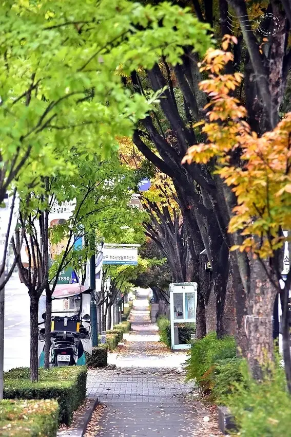 大邱市街景