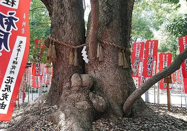 感受不一樣的大阪【住吉大社】文化、綠意，最古老的神社建築工法