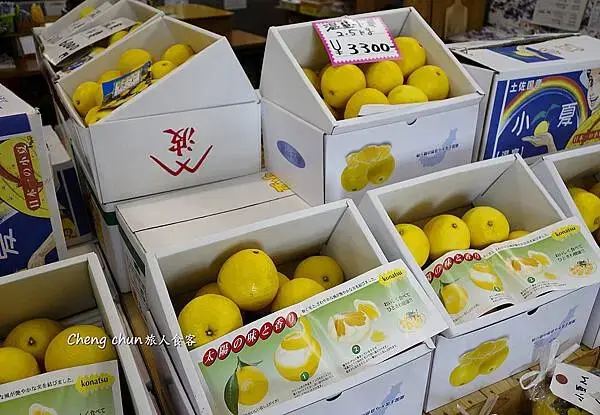 日本高知在地鄉土料理【かつお船】鰹魚、鰻魚苗定食初體驗