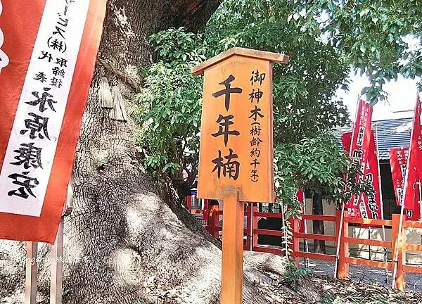 感受不一樣的大阪【住吉大社】文化、綠意，最古老的神社建築工法