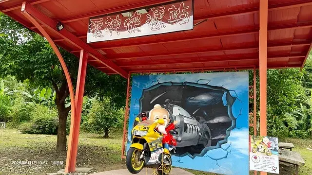 2025桃園大溪、十一指古道油桐花盛開🌸，5/1即時花況｜2