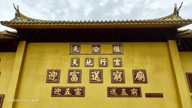 2025桃園大溪、十一指古道油桐花盛開🌸，5/1即時花況｜2