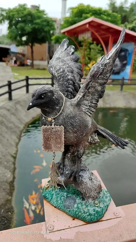 2025桃園大溪、十一指古道油桐花盛開🌸，5/1即時花況｜2