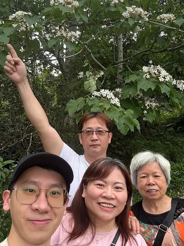 2025桃園大溪、十一指古道油桐花盛開🌸，5/1即時花況｜同