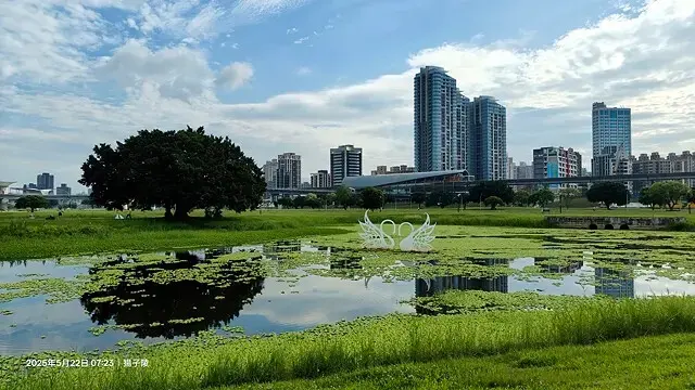 新北河濱2025繽紛花海，春日漫步夢幻花園，新北大都會公園+