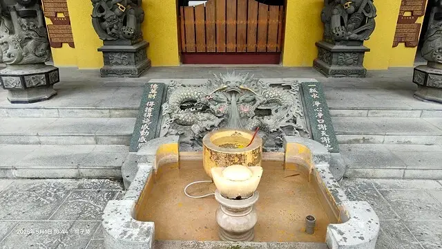 2025桃園大溪、十一指古道油桐花盛開🌸，5/1即時花況｜2