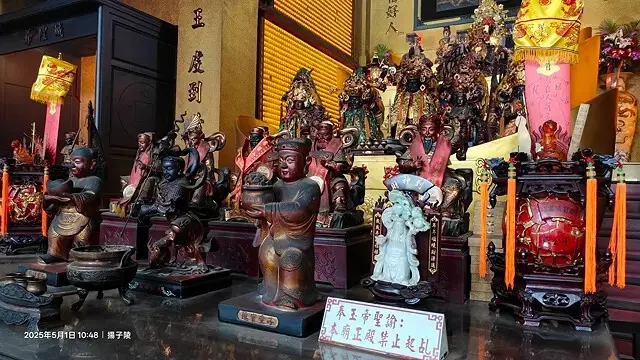 2025桃園大溪、十一指古道油桐花盛開🌸，5/1即時花況｜2