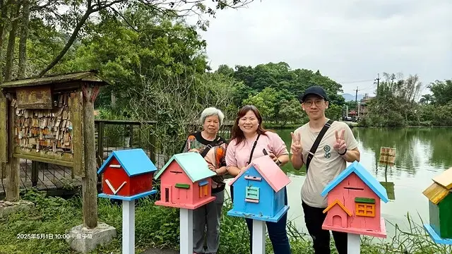 2025桃園大溪、十一指古道油桐花盛開🌸，5/1即時花況｜同