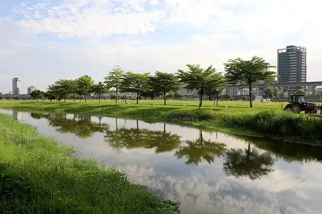 新北河濱2025繽紛花海，春日漫步夢幻花園，新北大都會公園+