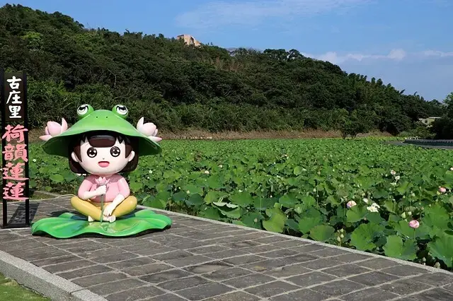 2025淡水奎柔山路百合花，05/17即時花況🌸｜同場加映：