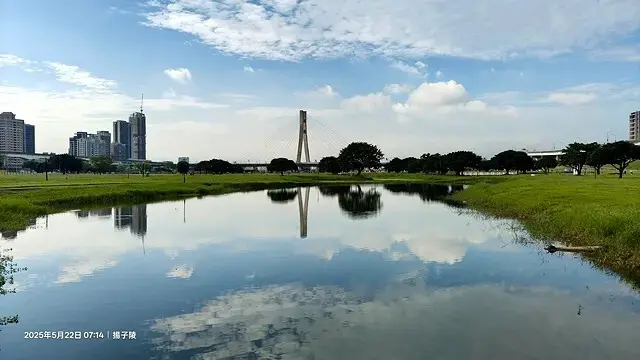 新北河濱2025繽紛花海，春日漫步夢幻花園，新北大都會公園+