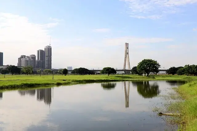 新北河濱2025繽紛花海，春日漫步夢幻花園，新北大都會公園+