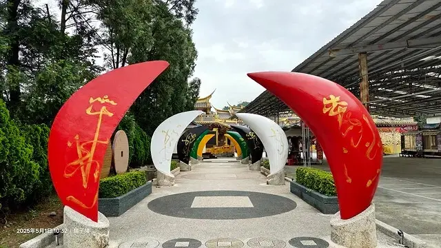 2025桃園大溪、十一指古道油桐花盛開🌸，5/1即時花況｜2