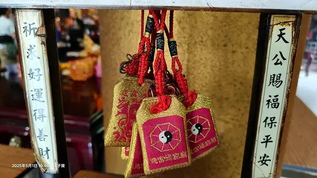 2025桃園大溪、十一指古道油桐花盛開🌸，5/1即時花況｜2