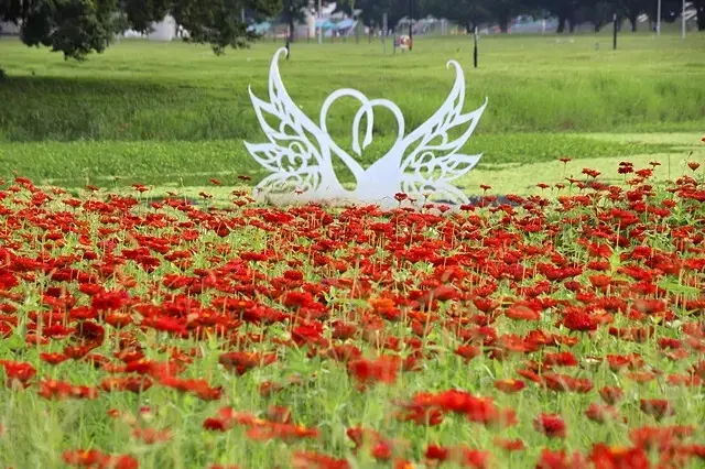 新北河濱2025繽紛花海，春日漫步夢幻花園，新北大都會公園+