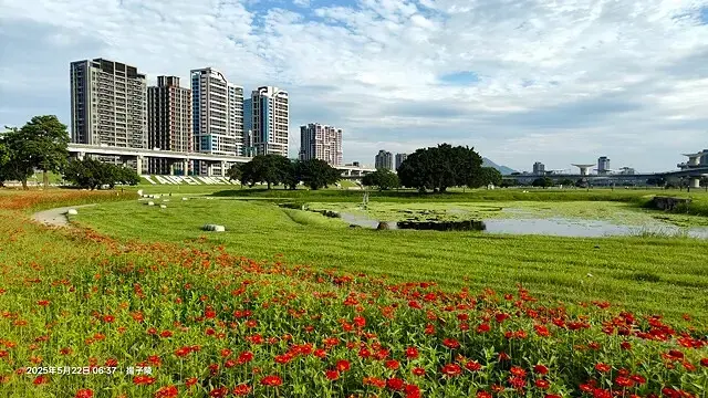 新北河濱2025繽紛花海，春日漫步夢幻花園，新北大都會公園+