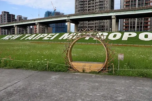 新北河濱2025繽紛花海，春日漫步夢幻花園，新北大都會公園+