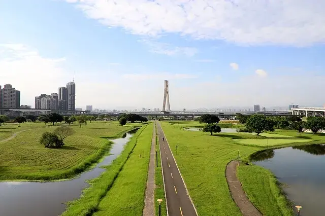 新北河濱2025繽紛花海，春日漫步夢幻花園，新北大都會公園+