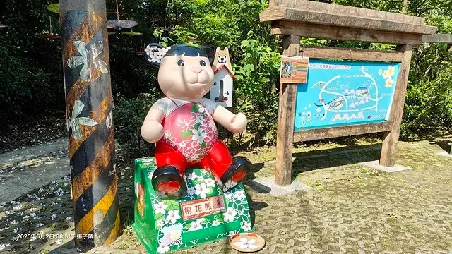 2025新北三芝賞桐步道🌸，5/2即時花況。