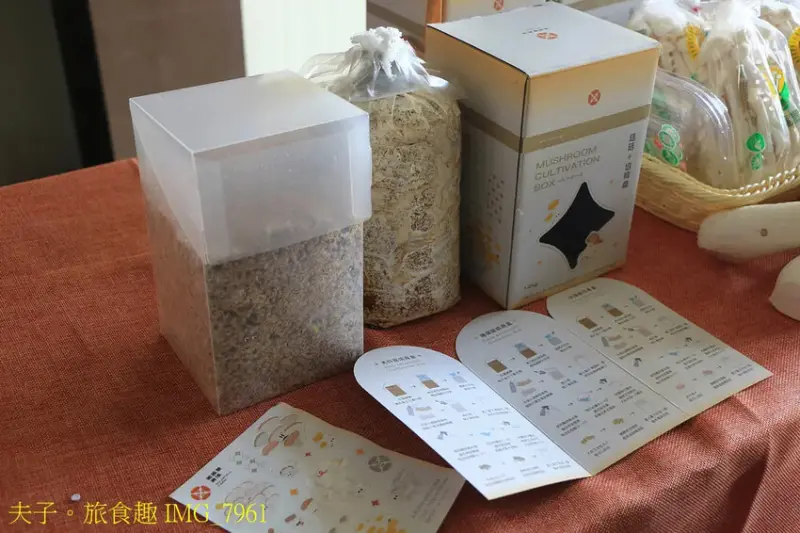 圃圃豐農場 有機杏鮑菇 體驗採菇樂趣