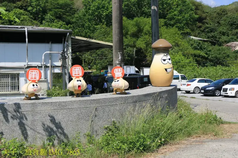 圃圃豐農場 有機杏鮑菇 體驗採菇樂趣