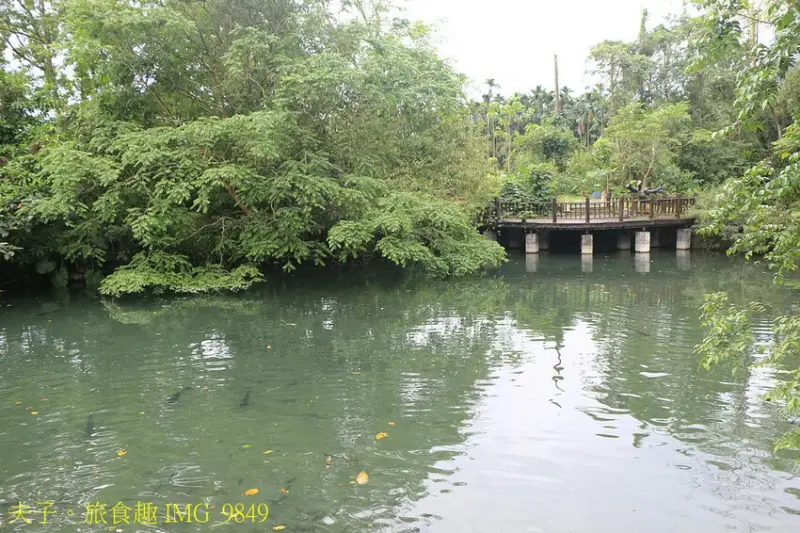 花蓮食農碳匯新魅力 馬太鞍欣綠農園 X 立川漁場 X 植樹減