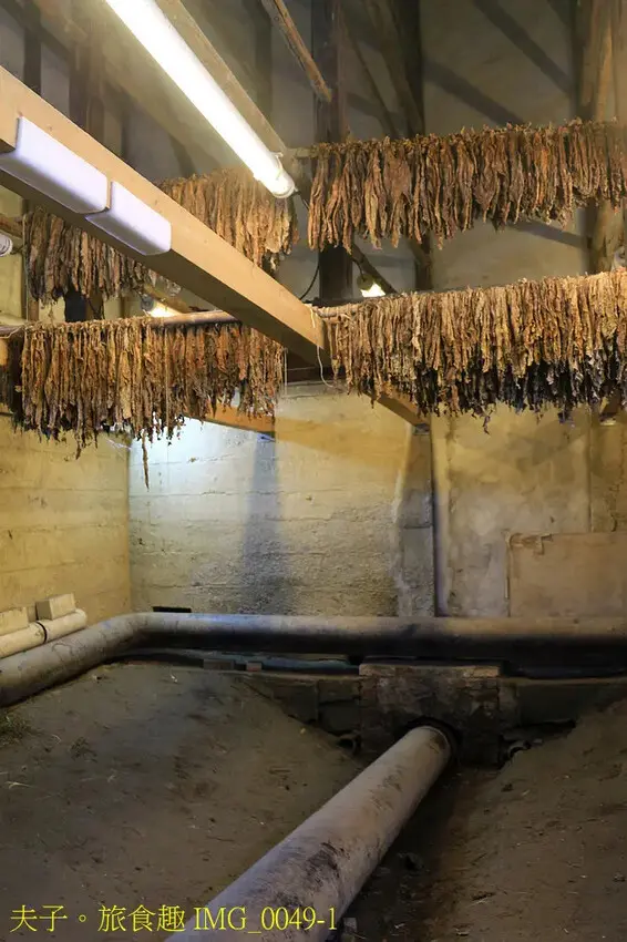 花蓮食農碳匯新魅力 馬太鞍欣綠農園 X 立川漁場 X 植樹減