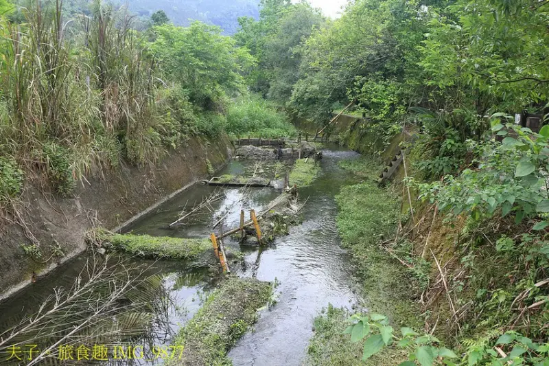 花蓮食農碳匯新魅力 馬太鞍欣綠農園 X 立川漁場 X 植樹減
