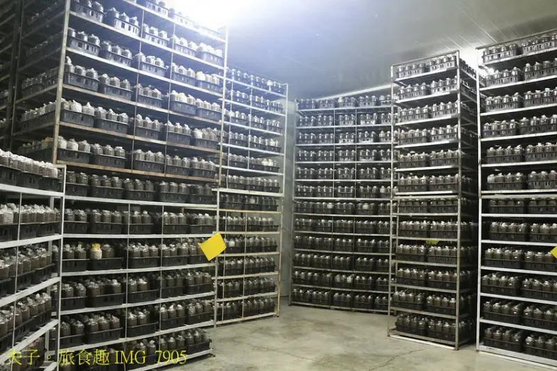 圃圃豐農場 有機杏鮑菇 體驗採菇樂趣