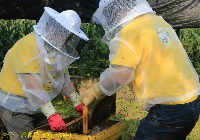 東和蜂文化觀光工廠 我與蜜蜂的近距離接觸