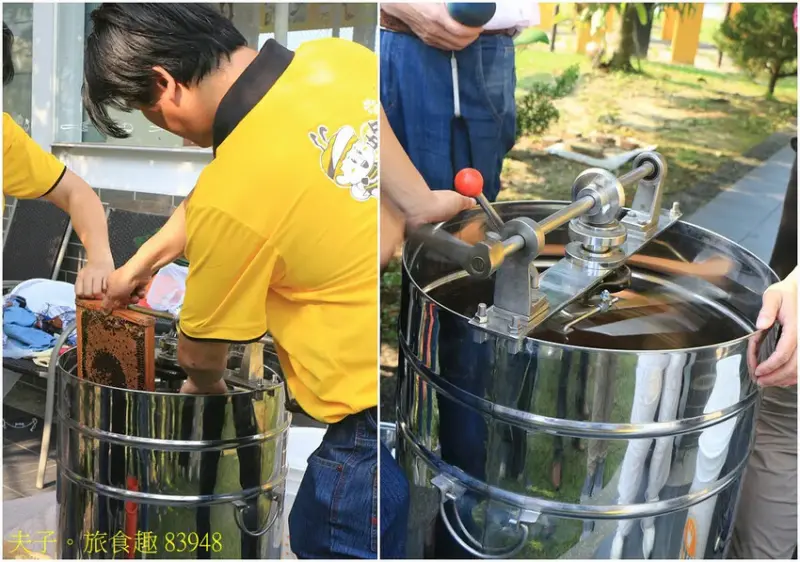 東和蜂文化觀光工廠 我與蜜蜂的近距離接觸