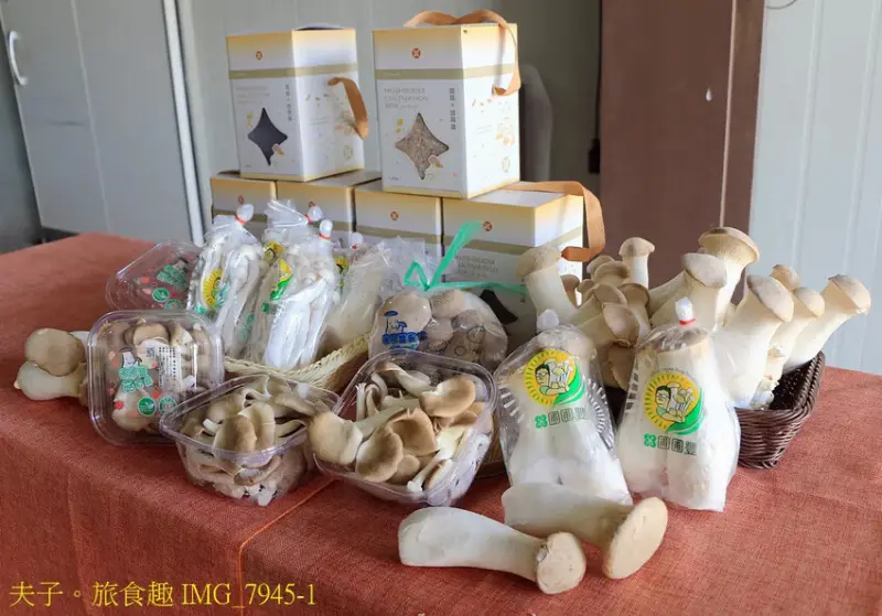 圃圃豐農場 有機杏鮑菇 體驗採菇樂趣