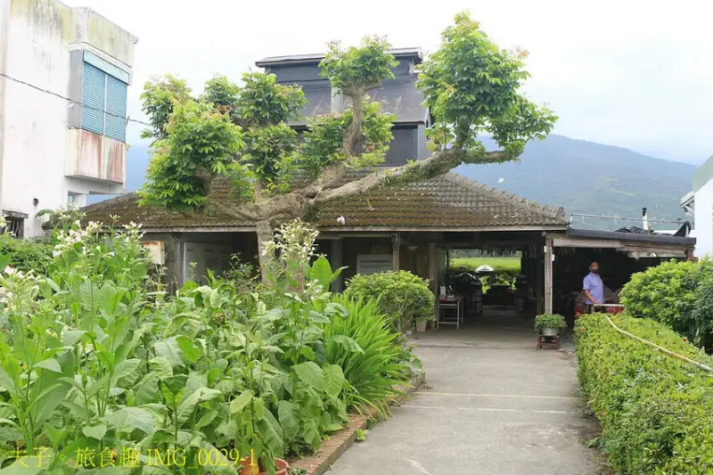 花蓮食農碳匯新魅力 馬太鞍欣綠農園 X 立川漁場 X 植樹減