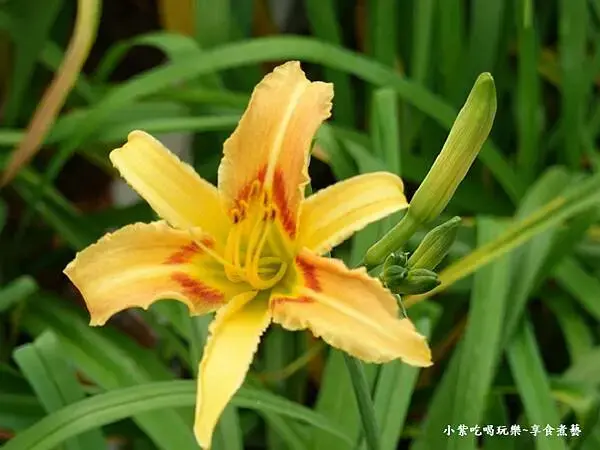 大溪-百吉休閒農業體驗園區遊客中心 (10).jpg