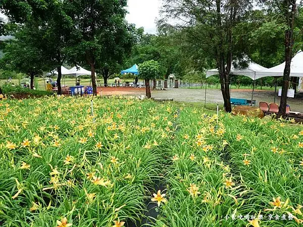 大溪-百吉休閒農業體驗園區遊客中心 (17).jpg