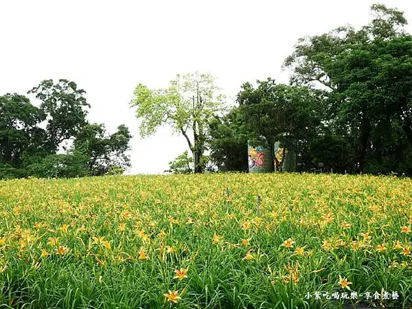 大溪-百吉休閒農業體驗園區遊客中心 (28).jpg