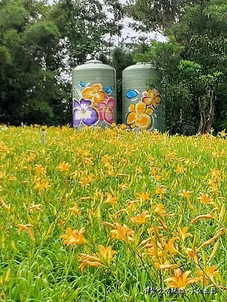 大溪-百吉休閒農業體驗園區遊客中心 (2).jpg