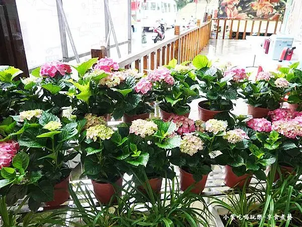 大溪-百吉休閒農業體驗園區遊客中心 (9).jpg