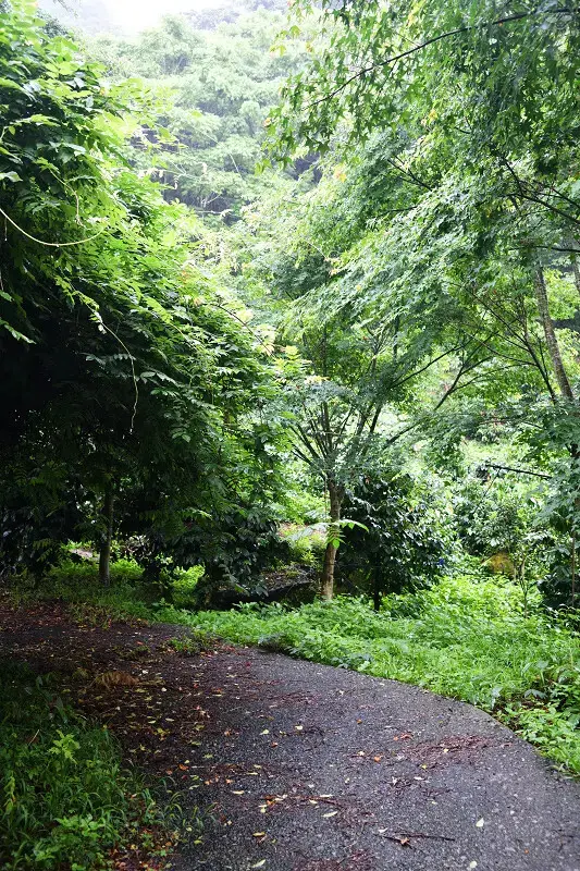 【台中旅遊推薦】探索原味之旅－雙崎部落，台中原民體驗，原流新